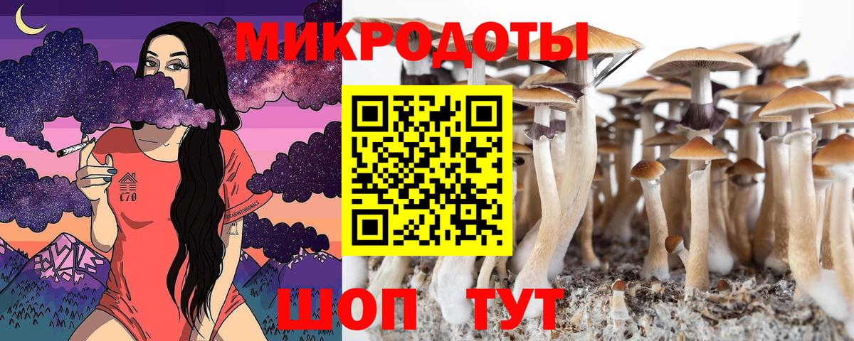 Псилоцибиновые грибы прущие грибы  Вход с VPN  Рассказово  Псилоцибиновые грибы Magic Shrooms 