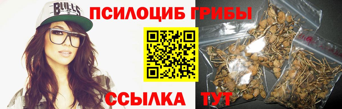 Псилоцибиновые грибы мухоморы Рассказово